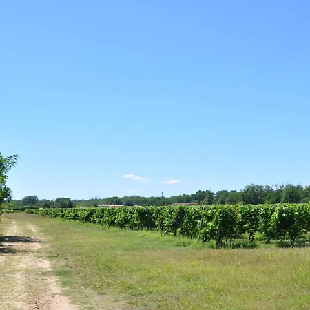 D'hotes Sauternais 3*