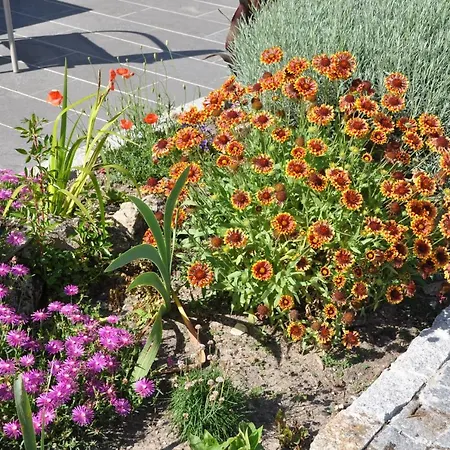 D'hotes Sauternais Отель типа 