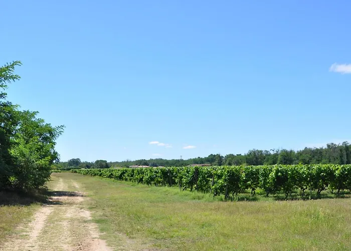 D'hotes Sauternais 3*