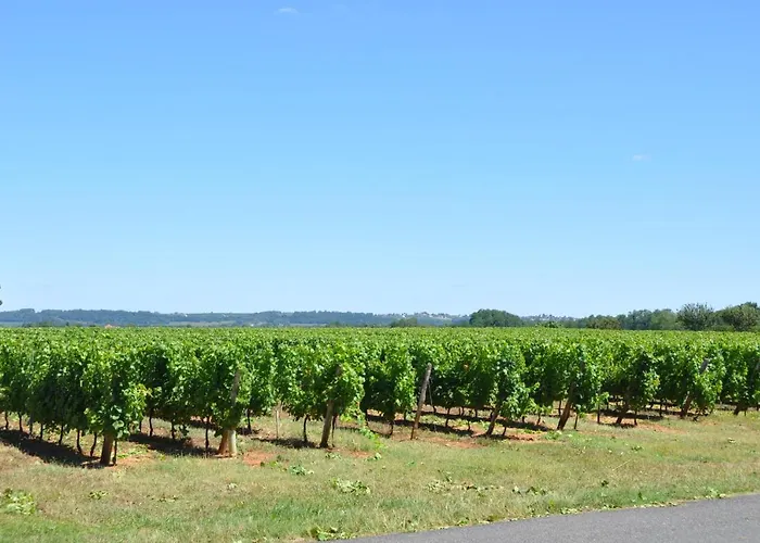 Bed and breakfast D'hotes Sauternais