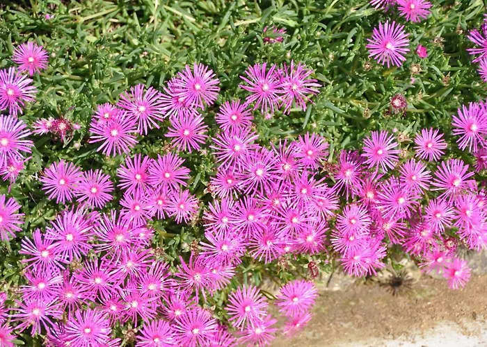 D'hotes Sauternais Bed and breakfast Pujols-sur-Ciron