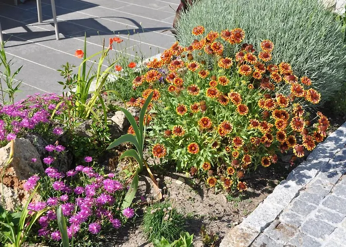 D'hotes Sauternais Bed and Breakfast Pujols-sur-Ciron